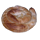 Buregdžinice